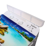 Biryusa Paltaryuyan TBG 80FP - Şəkil 3