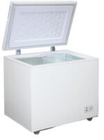 Biryusa Dondurucu 260 KX - Şəkil 2