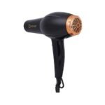 Fen DESSINI - Şəkil 3