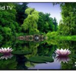 Onex Televizor 32H62A